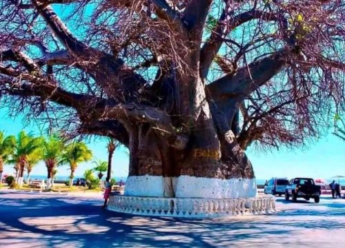 WESTERN AND NORTHERN TOUR OF MADAGASCAR -15D/14N