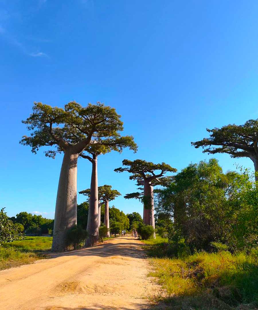 Personalized Itineraries